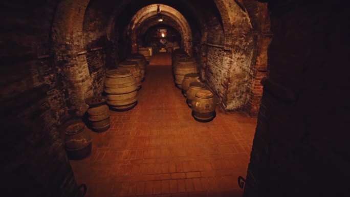 【4K原创】意大利城堡地窖葡萄酒窖4