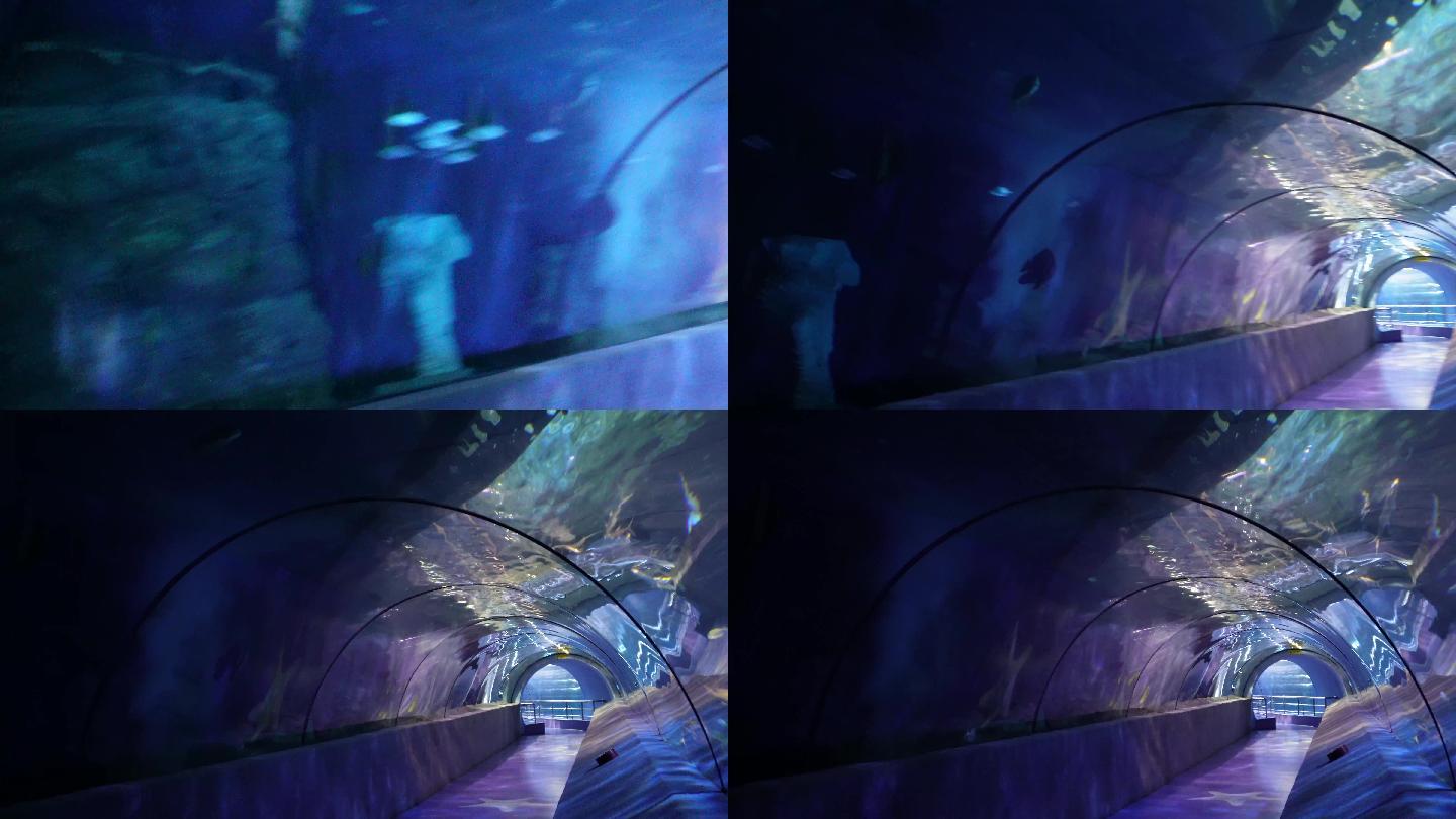 海底隧道海洋馆水族馆(8)