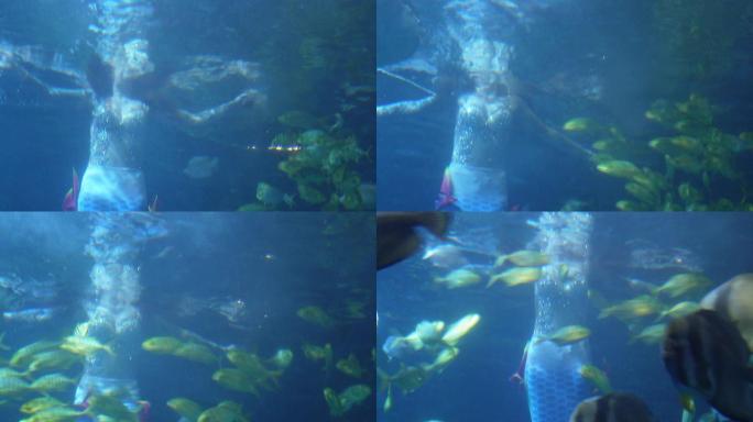 美人鱼表演潜水员海底世界 (3)