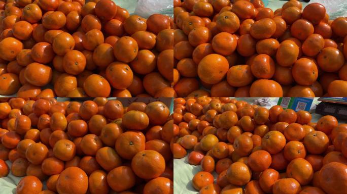 逛大集买橘子砂糖橘橙子 (2)