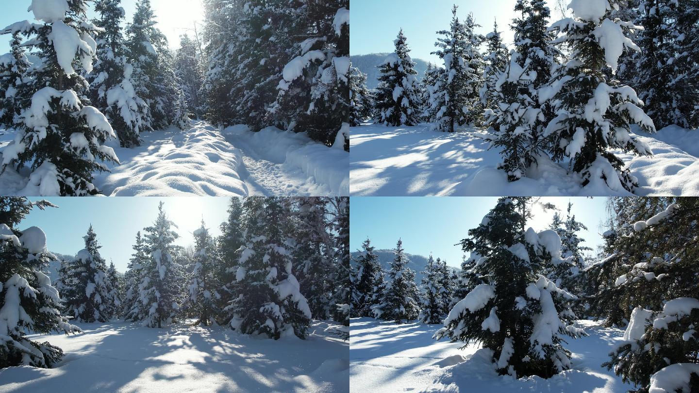 阿勒泰禾木冬天雪景