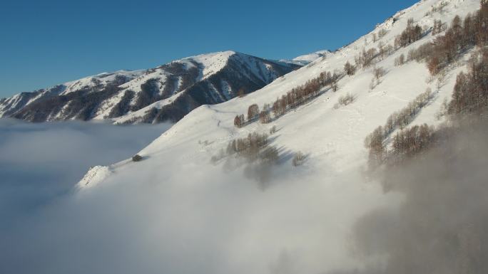 新疆阿勒泰禾木雪景云海