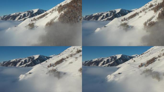 新疆阿勒泰禾木雪景云海