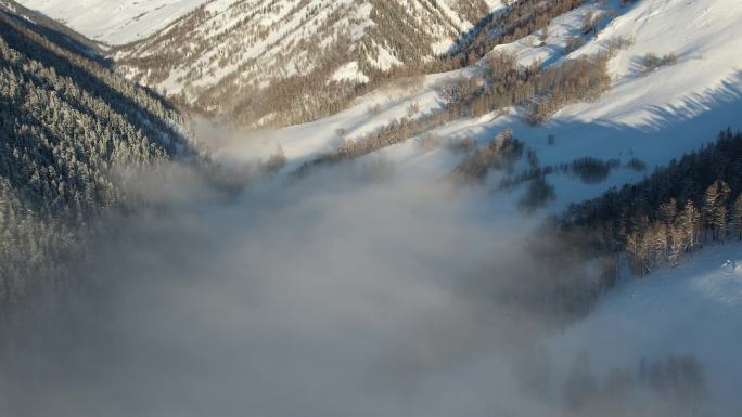 阿勒泰禾木雪景云海