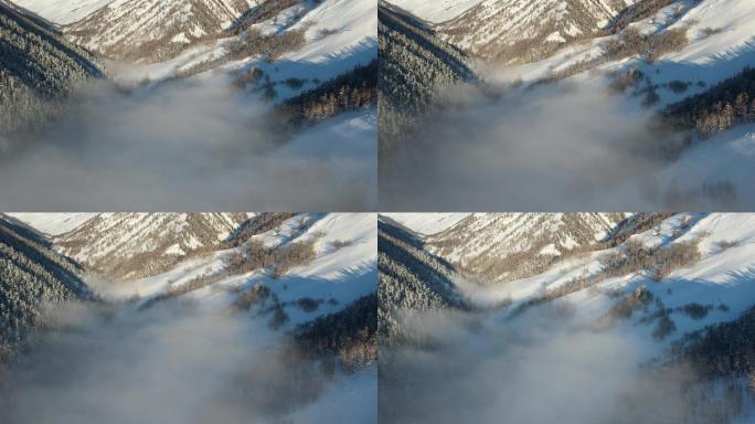 阿勒泰禾木雪景云海