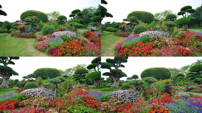 春天公园花园花坛唯美园艺造型花境作品