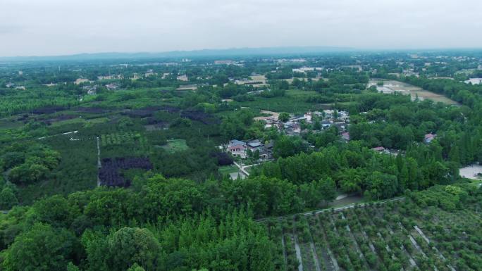 远山与平原