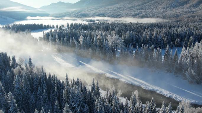 阿勒泰喀纳斯雪景