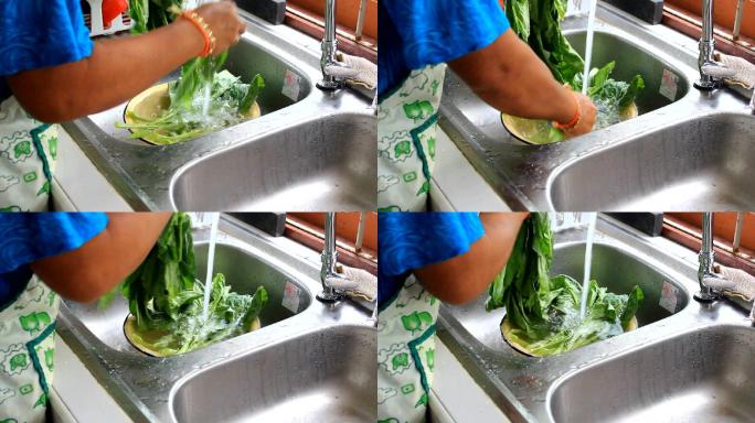 洗蔬菜洗菜
