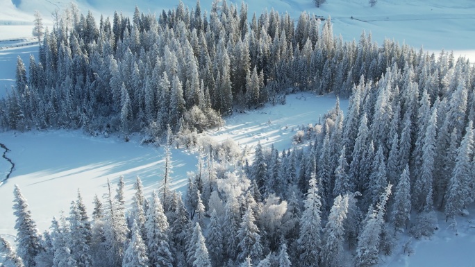 新疆阿勒泰喀纳斯雪景