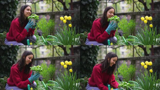 一位年轻的园艺女士举起一壶罗勒，享受着它的芳香