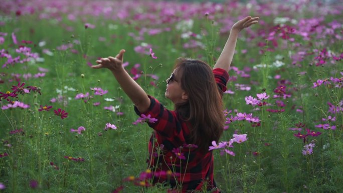 亚洲成熟女性在cosmos meadow的面部表情，张开双臂感受自由
