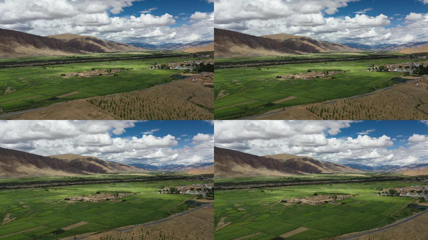 原创 西藏山南市乡村田野田园自然风光航拍