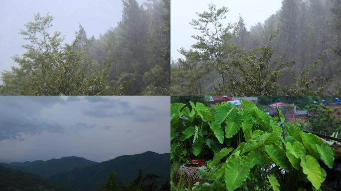 下雨天