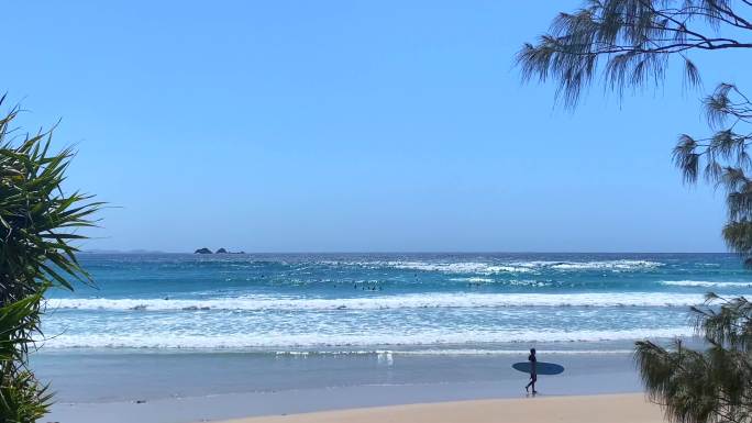 在热带海滩玩冲浪板的冲浪者