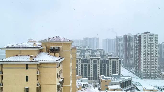 升格镜头下的飘雪