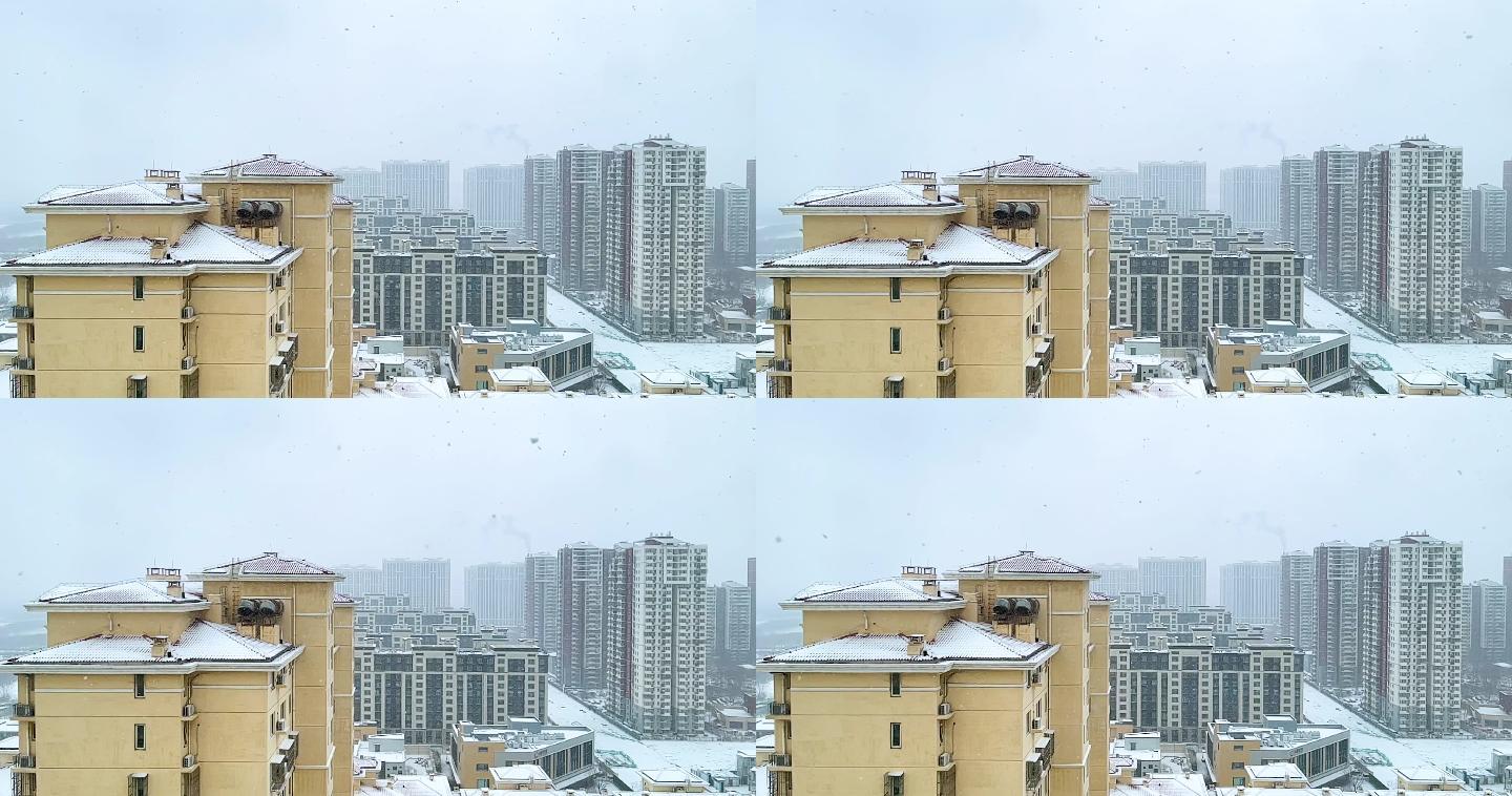 升格镜头下的飘雪