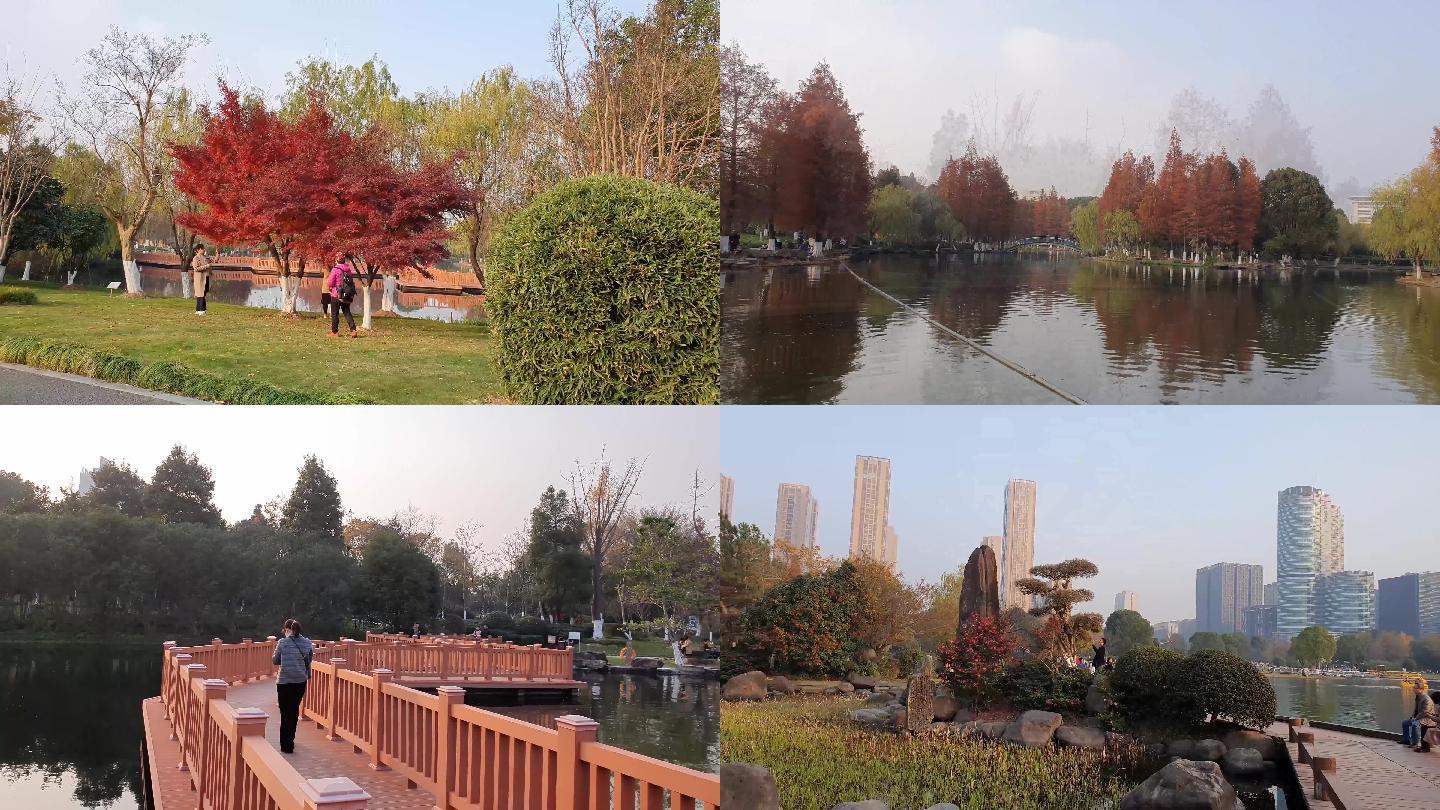 4K宁波鄞州公园秋天唯美色彩