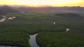 泰国佐敦省，日出时分，红树林福里斯特运河上空飞行的无人机视图视频素材
