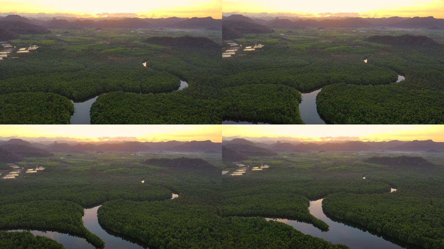 泰国佐敦省，日出时分，红树林福里斯特运河上空飞行的无人机视图