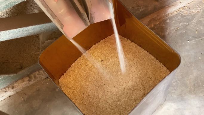 生米产品谷米小米