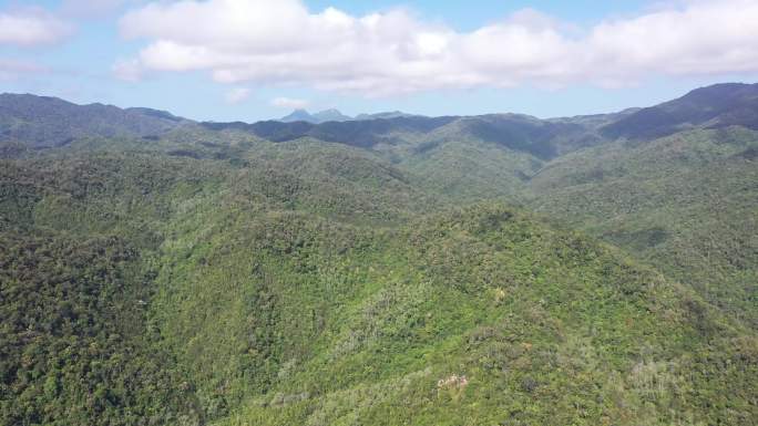 航拍乐东尖峰岭海南热带雨林国家公园