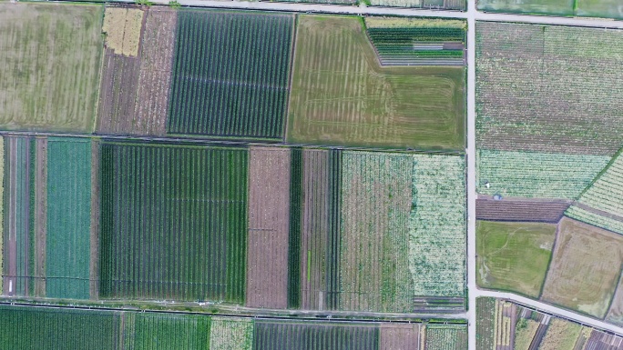 航拍中国大型蔬菜种植基地