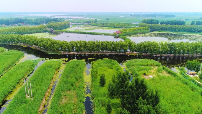 中国河北 白洋淀 实景航拍 旅游胜地