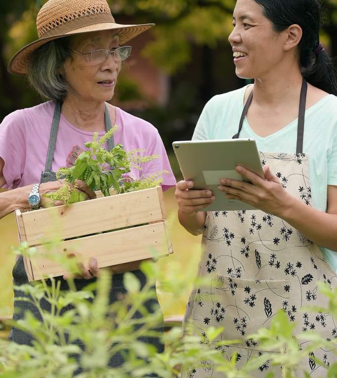 面向小型企业的社交媒体有机蔬菜加登