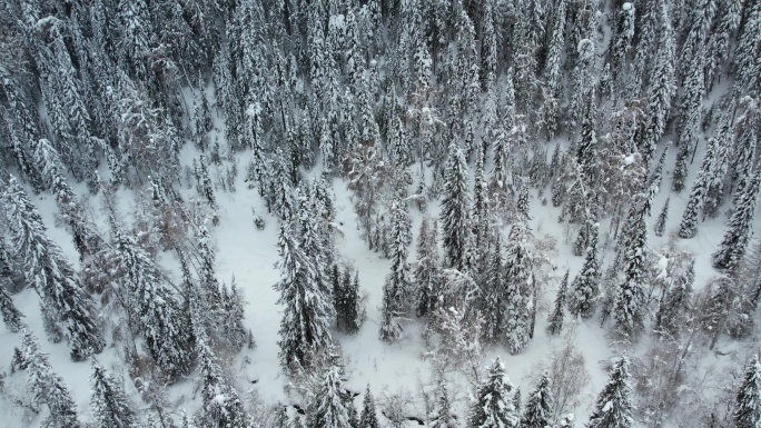 阿勒泰禾木冬天雪景