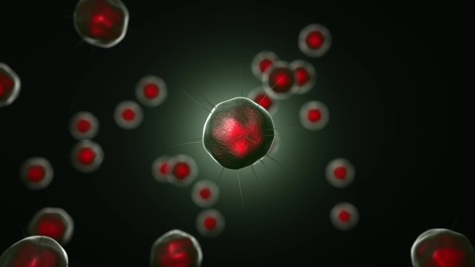 多功能组合异形液滴美容护肤创意动态视频