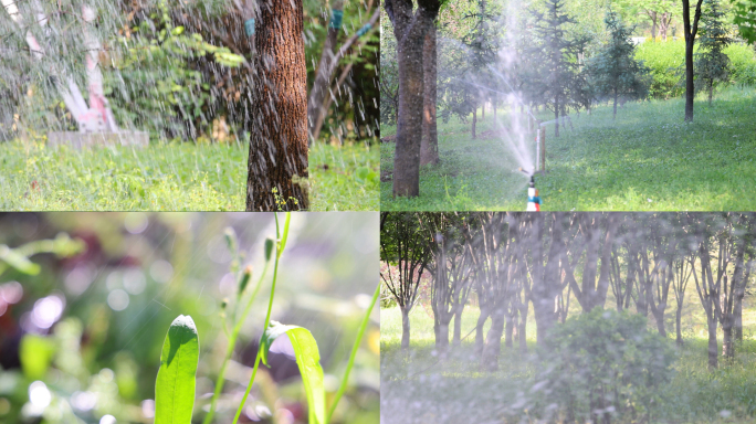 喷灌滴灌园林绿化建设