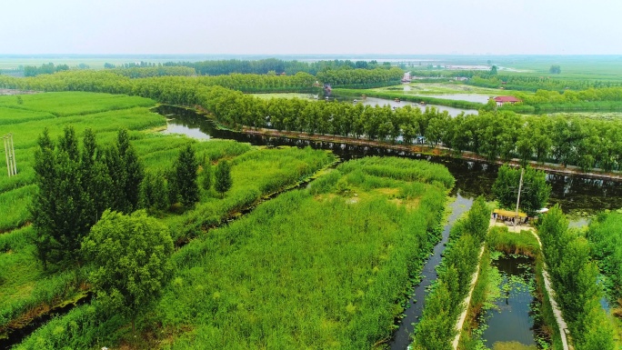 河北白洋淀 秀美景色 旅游胜地 实景航拍