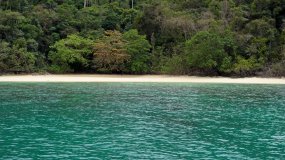 原始雨林与青绿色清澈的热带海洋泰国视频素材