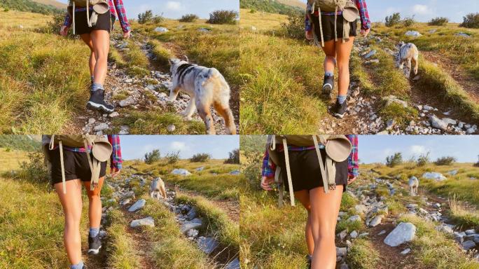 一位女性徒步旅行者在小径上慢吞吞地走着，她的狗在小径上跑来跑去