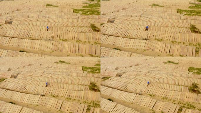 宣纸干燥水稻稻谷大米米饭农业五谷杂粮丰收