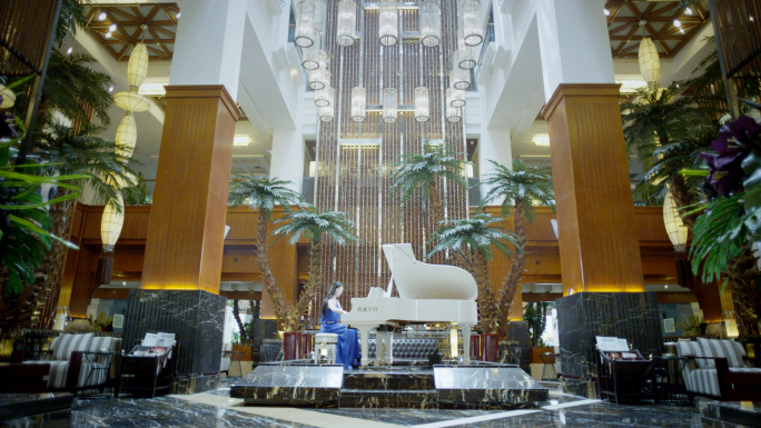 五星级酒店大厅钢琴自助餐书房温泉洗浴