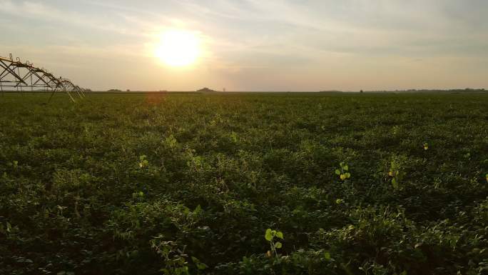 夏季农业——地面灌溉设备、农业洒水器