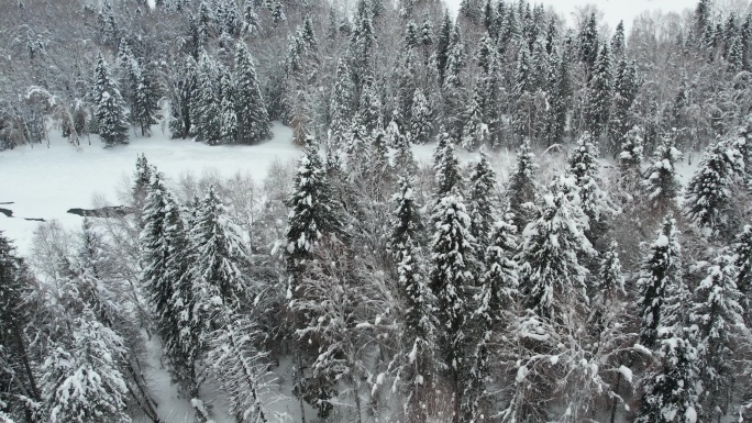 新疆阿勒泰禾木雪景