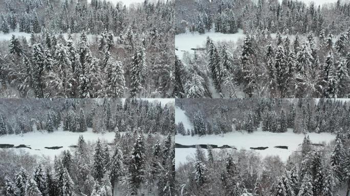 新疆阿勒泰禾木雪景