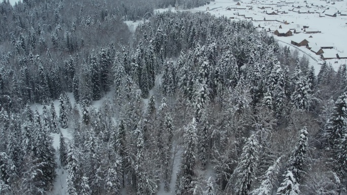 新疆阿勒泰禾木雪景