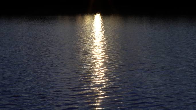阳光反射在水面上。平静的水面上闪耀着阳光