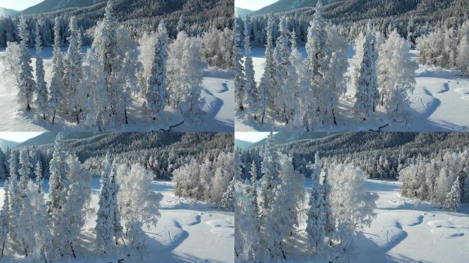 新疆阿勒泰喀纳斯雪景