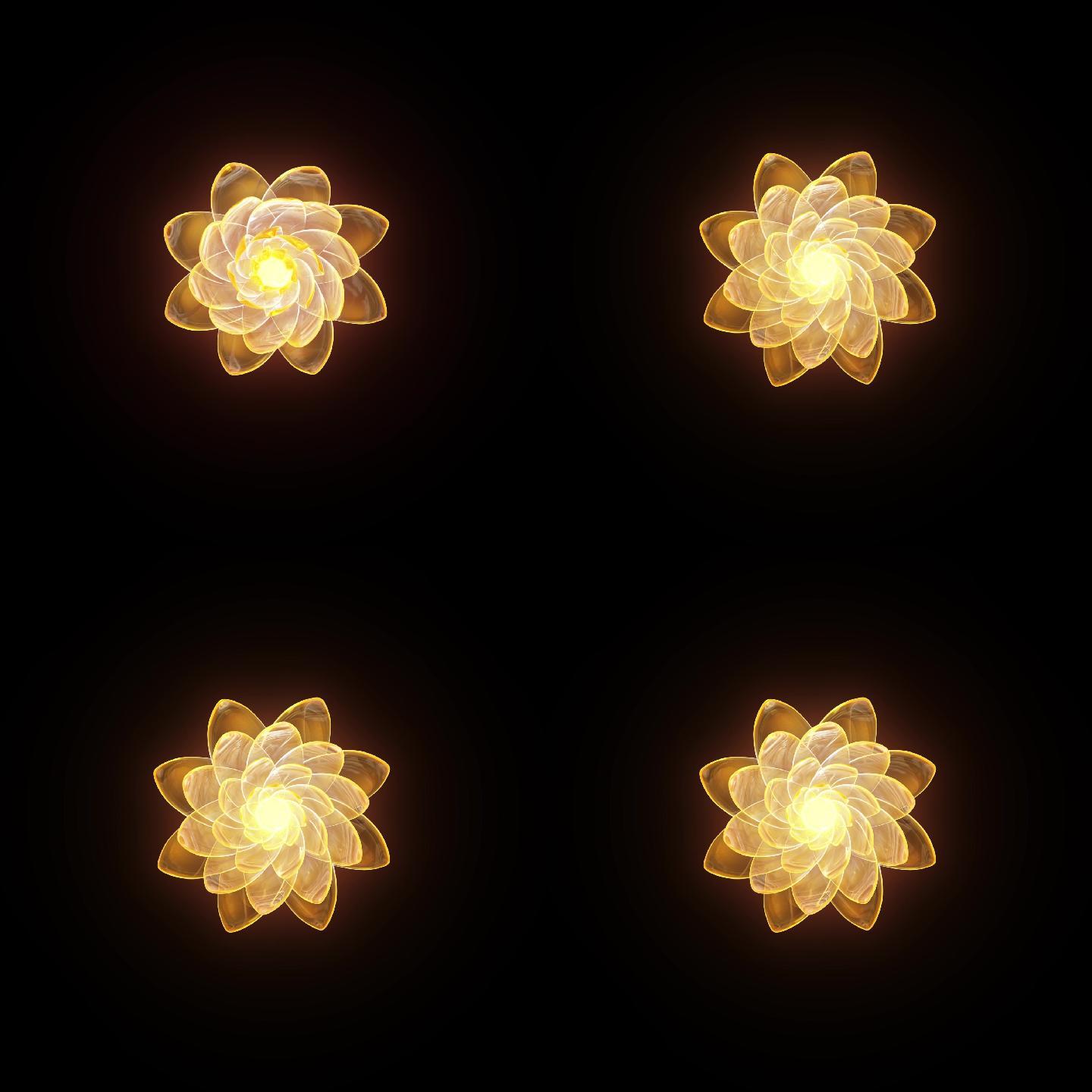 莲花