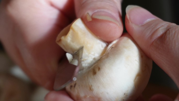 菜刀案板切口蘑白蘑菇 (3)