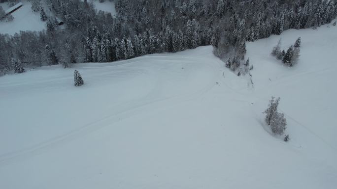 新疆阿勒泰禾木雪景