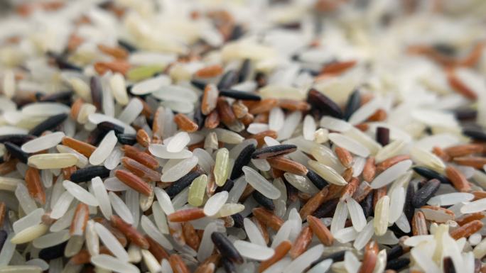 泰国有机混合3种颜色的Gaba大米。