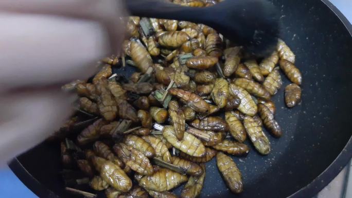 锅里烤椰子虫炒蚕蛹美味高蛋白