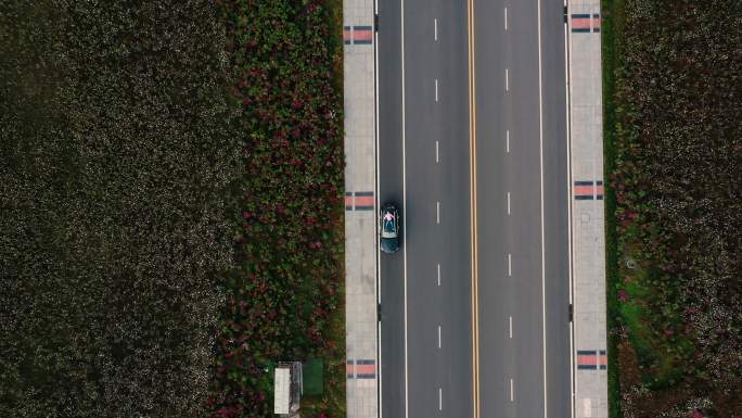 新冠疫情-空荡荡的道路