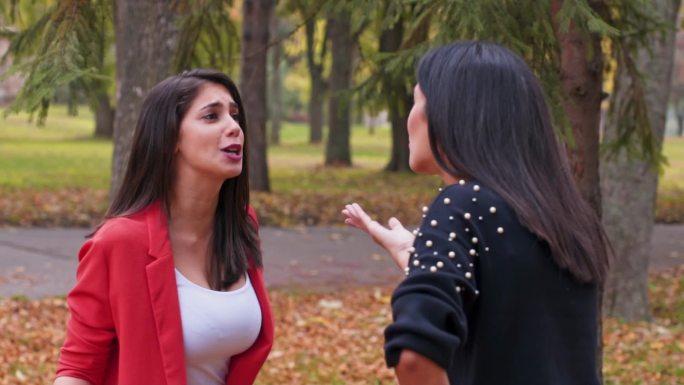两个愤怒的女人在公园里争吵
